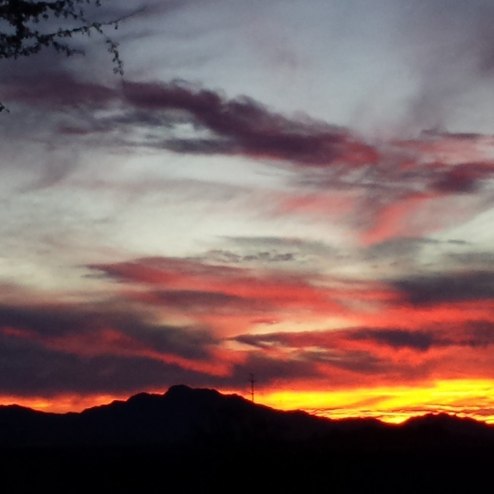 Meet your Posher, Julio